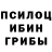 Галлюциногенные грибы Magic Shrooms Abduraxmon Abdusattorov
