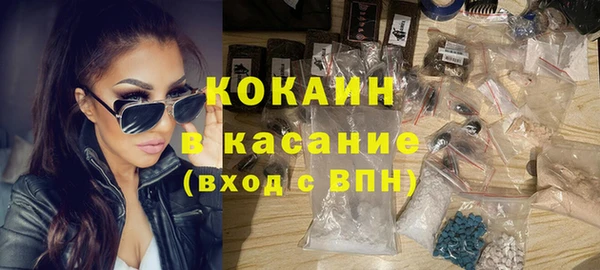 прущие грибы Верхний Тагил