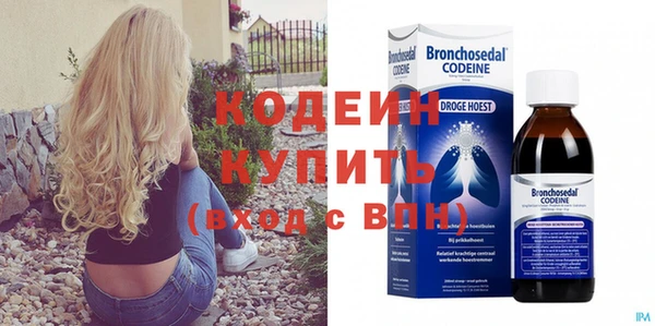 прущие грибы Верхний Тагил