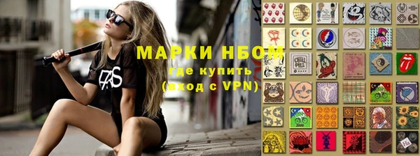 прущие грибы Верхний Тагил