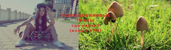 прущие грибы Верхний Тагил