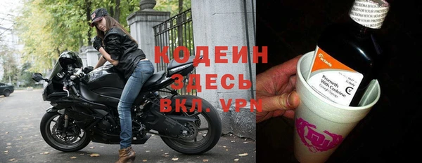 прущие грибы Верхний Тагил