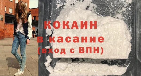 прущие грибы Верхний Тагил