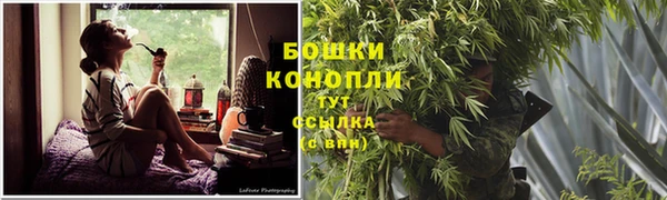 прущие грибы Верхний Тагил