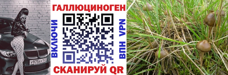 купить сайты Миасс Галлюциногенные грибы прущие грибы