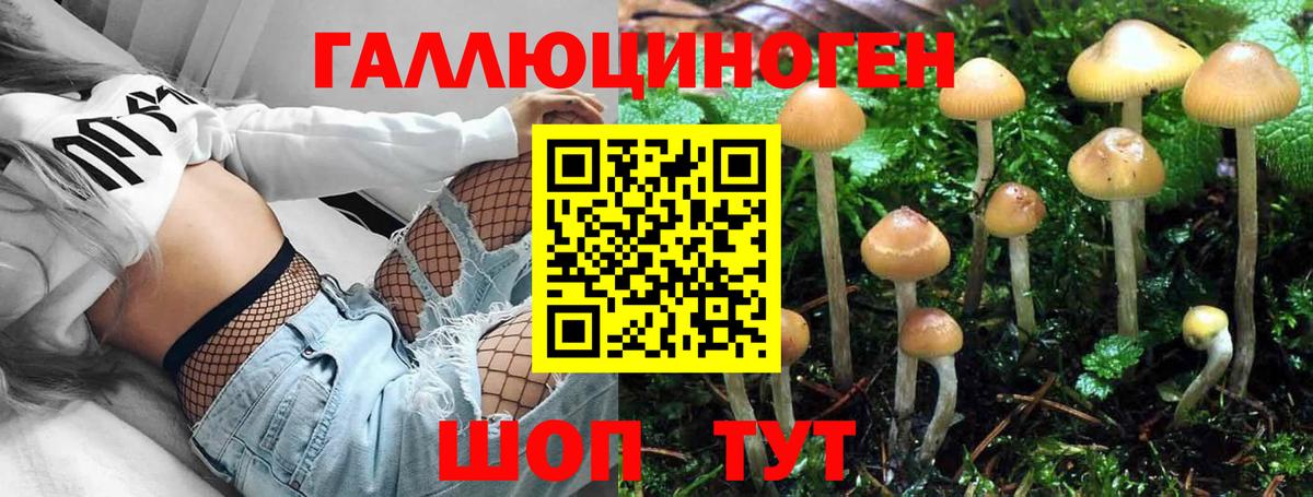 Псилоцибиновые грибы Magic Shrooms Миасс