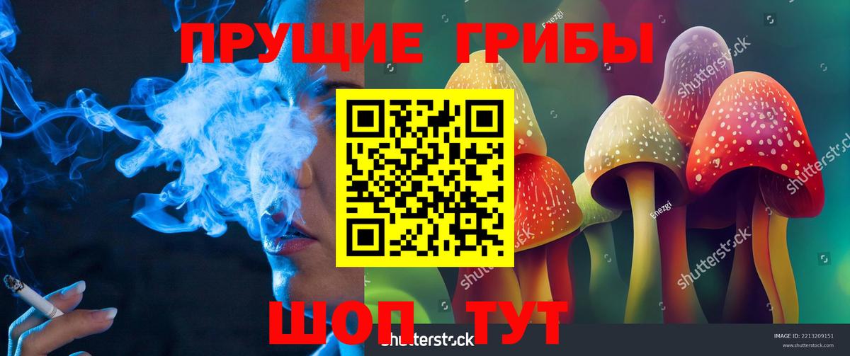 Миасс  Галлюциногенные грибы Psilocybe  хочу   Галлюциногенные грибы Cubensis  Вход с VPN 